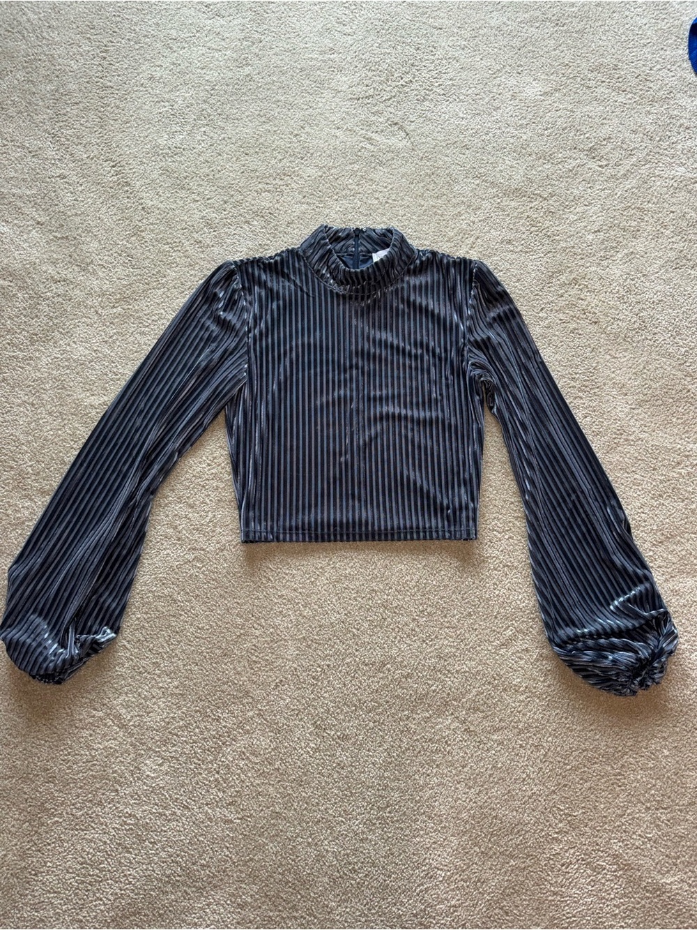Privacy Please Blue Velvet Ribbed Balloon Sleeve Crop Top